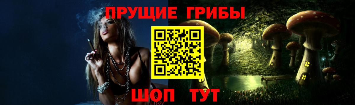 Шуя  Галлюциногенные грибы мухоморы  Псилоцибиновые грибы MAGIC MUSHROOMS  Вход с VPN 